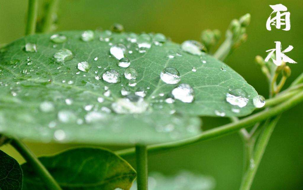 雨水潤萬物，兼顧沙與泥！